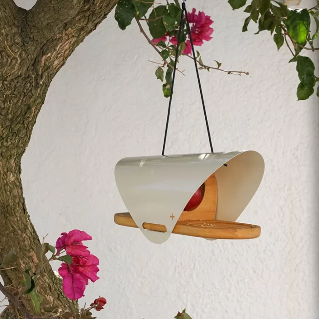 Attract birds to garden