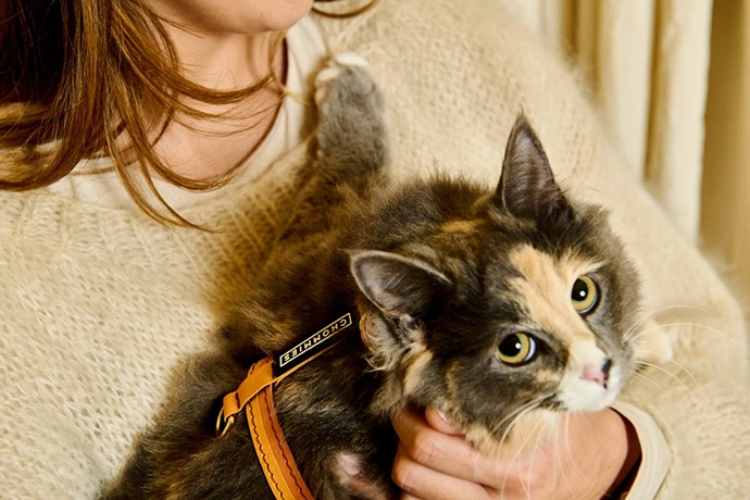 Chommies-Mother-City-Cat-Collection-13