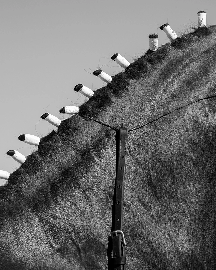 Tosseltjies. Swartland Show, Moorreesburg. 2024. Archival Ink on Cotton Rag. 29.5 x 23.5 cm. 