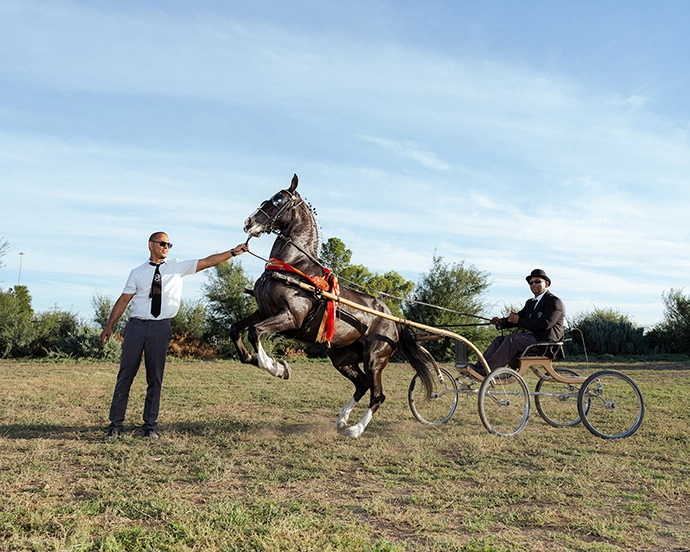 Niyaaz Marlie and Reyaad Davids with Julietta, owned by Abdullah Davids, Morocco Stud. South African Hackney Championships, Beaufort West Archival. 2025. Ink on Cotton Rag. 29.5 x 36 cm.