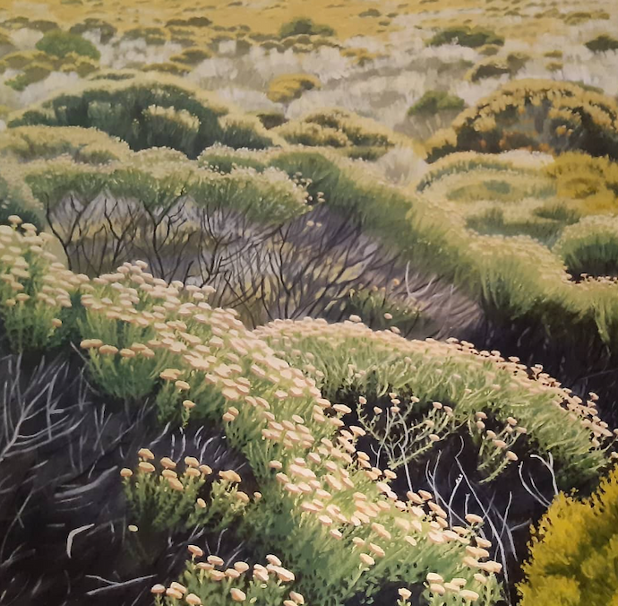 Work by Shereen Harrison