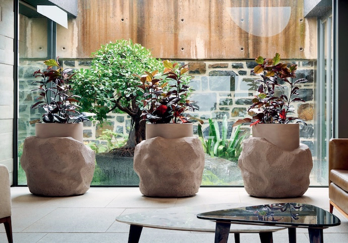 Petra-collection-Indigenus-2