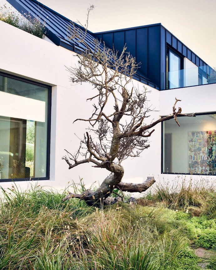 Designed in the style of a Cape langhuis, the home is a modern farmhouse. Two barns laid out over three levels are connected by courtyards and a rooftop terrace. By placing the house on the lowest contours of the site, architect Arn Erasmus ensured that the building feels grounded and that, with time, the landscaping will ground it further. In the courtyard that connects the entrance hall to the living area, a life-sized bronze-cast sculpture of a shepherd tree by artist Nic Bladen is a serious wow factor.