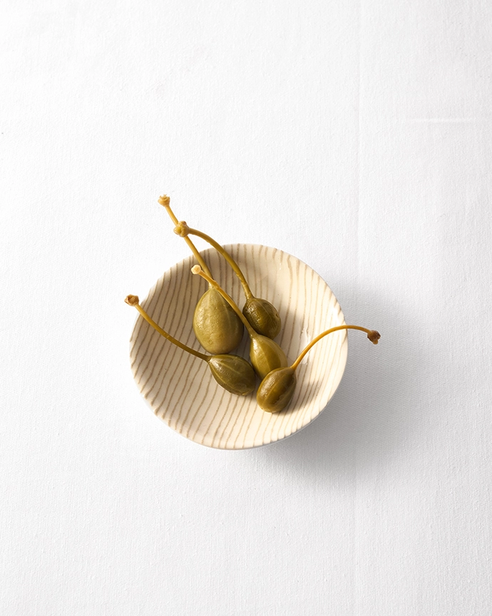 tashas home crockery