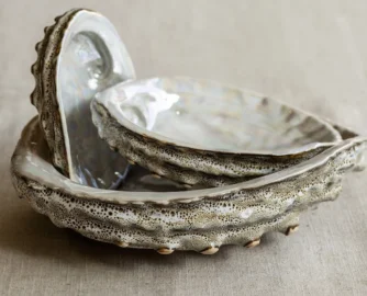 Mervyn Gers Ceramics, renowned for its uniquely handcrafted dinnerware, decor, and tiles, has released a new range inspired by the ocean.