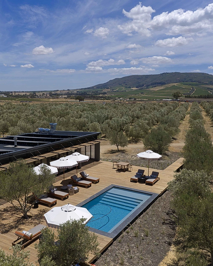 Anchoring the lodge is The Clubhouse – the social heart of Olijvenkraal and a space to gather, unwind and linger.