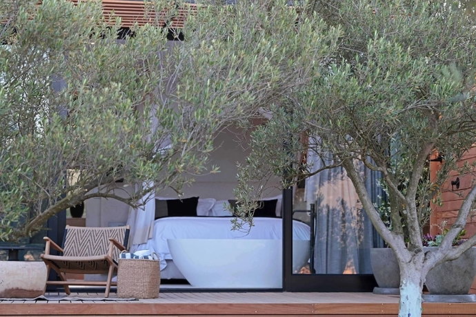 Olijvenkraal-Winelands-Lodge-5