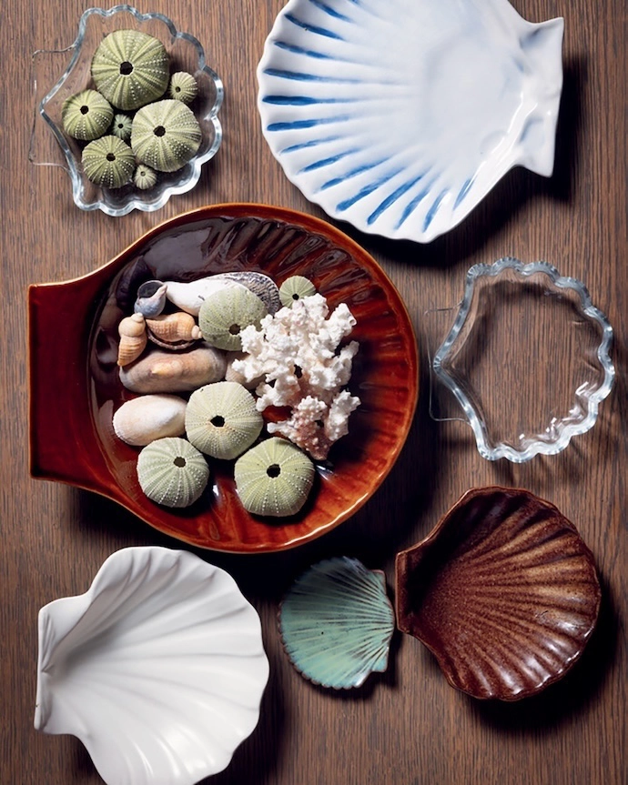 Sea shells