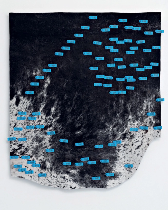 Map made of Nguni hide and ear tags by Ben Stanwix and Xhanti Zwelendaba.
