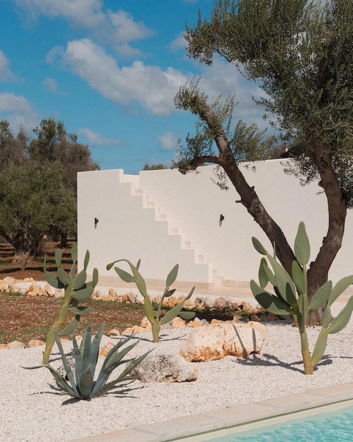 Besides the pool is a desert cactus garden which blends in with the rugged terrain.