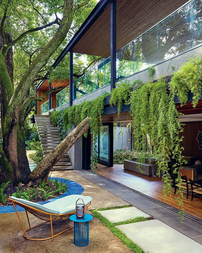 9 Homes That Bring the Outside In