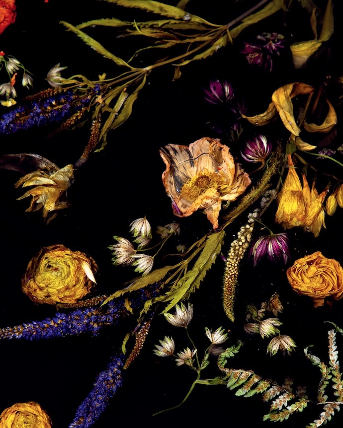 Floral waste is preserved in Flora, the first of several resin materials Marcin pioneered.