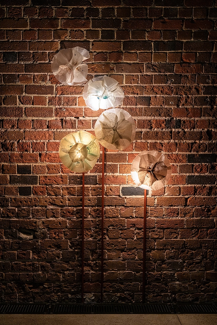 Georgia Munnik, The Strangling Fruit (2026), in the Reverse Futures exhibition.