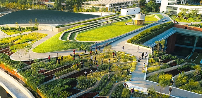 Thammasat Urban Farm Rooftop in Bangkok is Asia's largest organic rooftop farm, featuring cascading rice terraces, solar energy generation, and smart rainwater management.