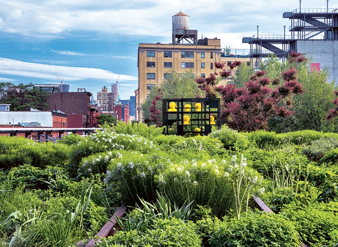 The Constant Gardener