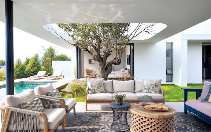 The jacket plum tree enjoys a strikingly prime position between courtyard garden and view.