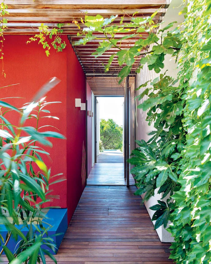 Surrounded by almost-untouched nature, the home sets its contemporary volumes – tinged in red and white – in dialogue with the lush vegetation. Palm trees, agaves, olive trees and climbing vines frame and crown the building.