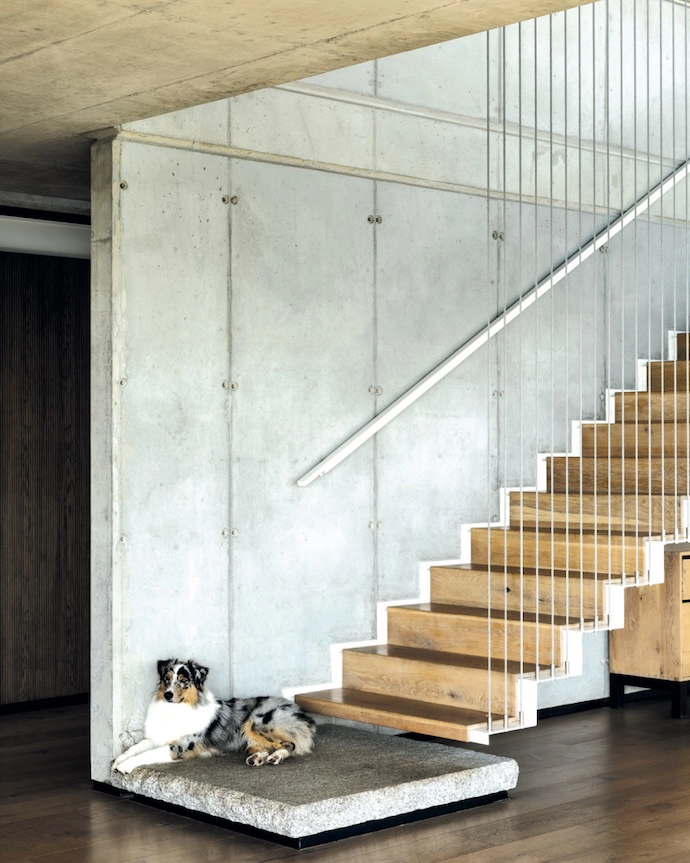 The stairs demonstrate the restrained use of single trade materials like concrete and steel.