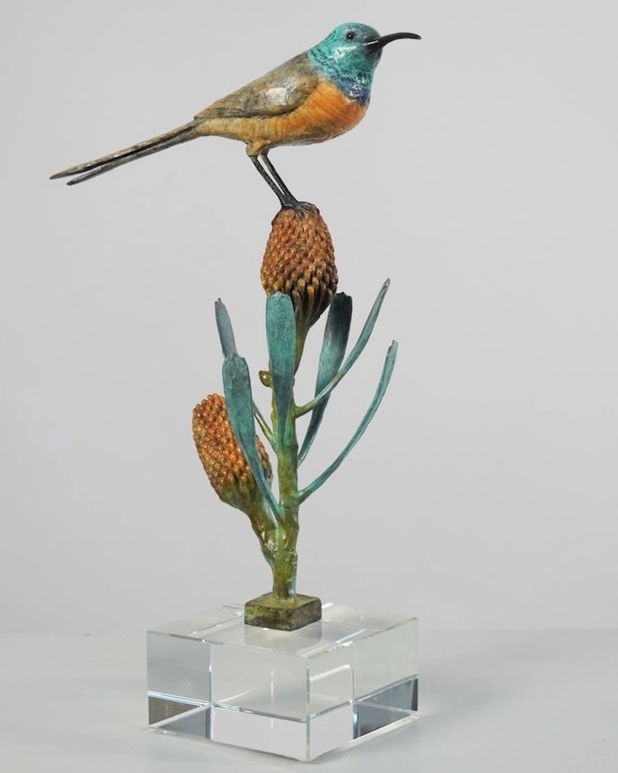 Orange Breasted Sunbird