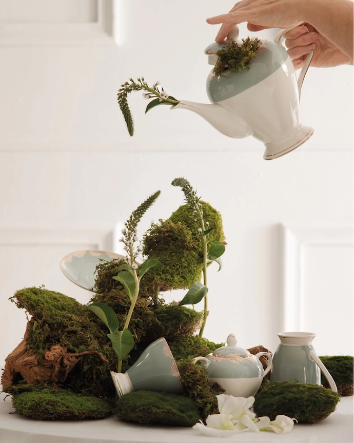 homewarestore-5